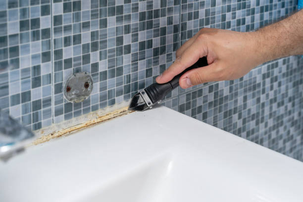 Best Mold Damage Repair  in Prescott, AZ