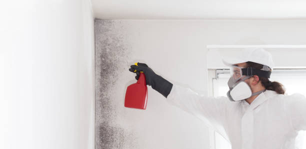 Best Mold Removal Process  in Prescott, AZ